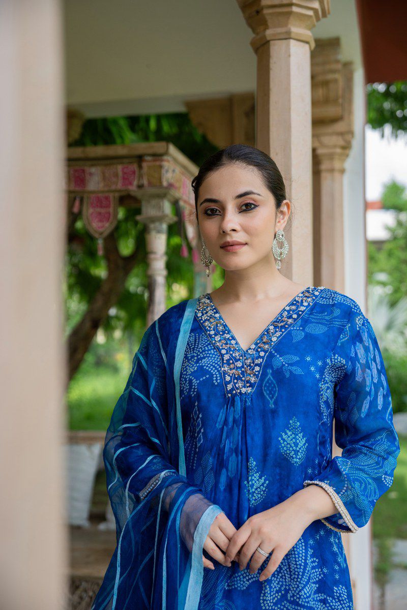 Blue Floral Suit Set in Shimmer Organza with Embroidered V-Neck & Full Sleeves